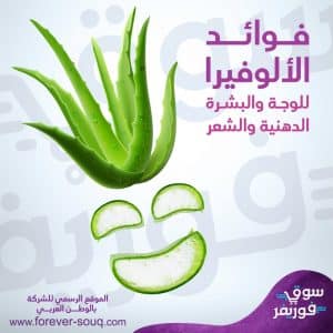 فوائد الألوفيرا للوجة و البشرة الدهنية و الشعر